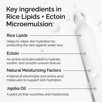 Rice Lipids + Ectoin Microemulsion - Image 4