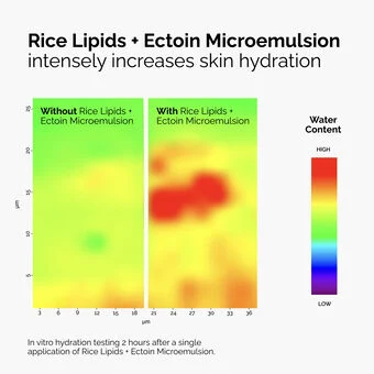 Rice Lipids + Ectoin Microemulsion - Image 7